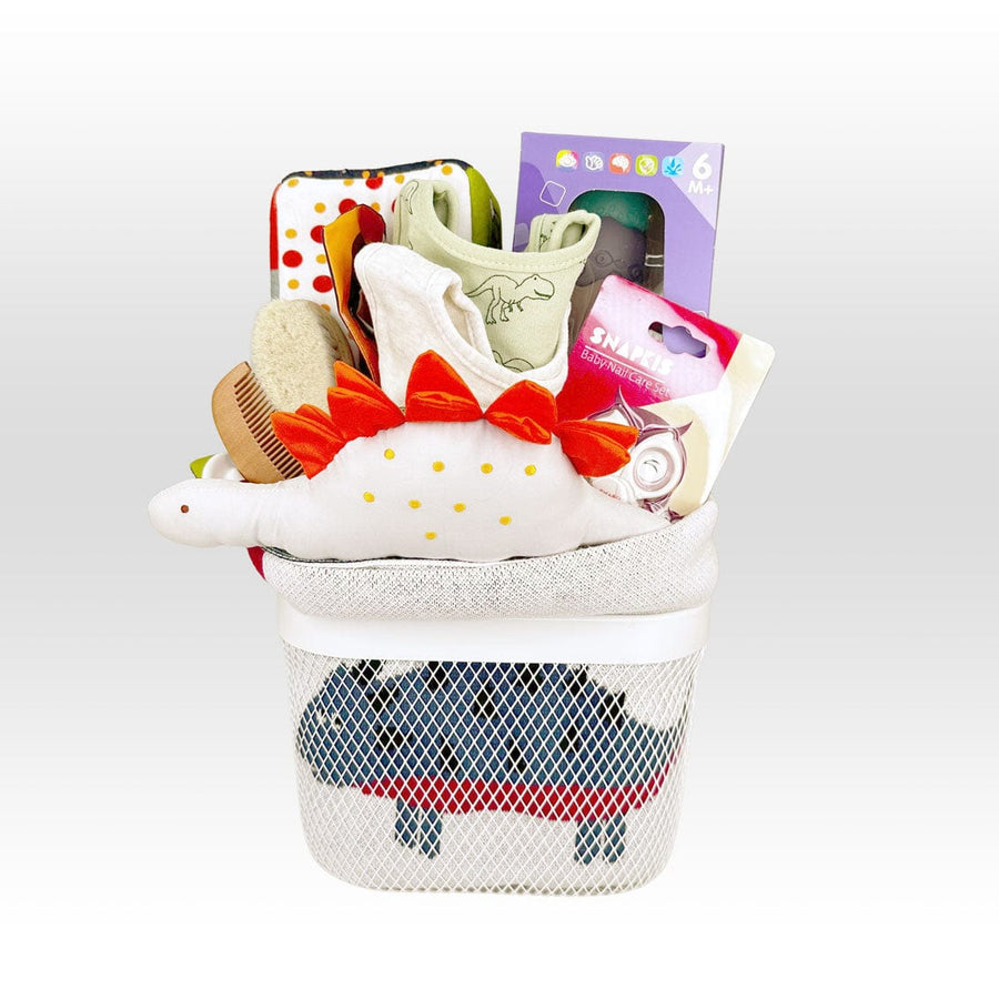 NEWBORN NECESSITIES HAMPER