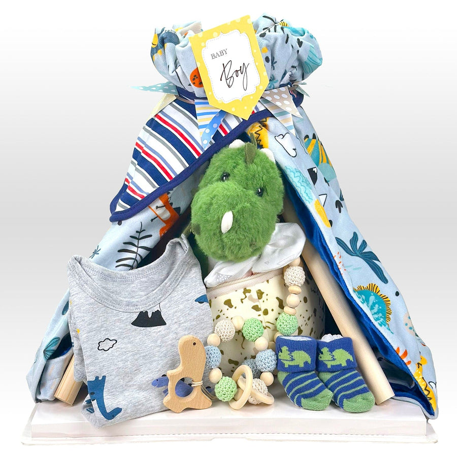 OVERLORD DINOSAUR EGG TENT BABY BOY HAMPER